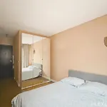 Ideal Studio In The 5Th District Of Paris